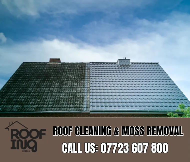 Roof cleaning and moss removal in Great Torrington